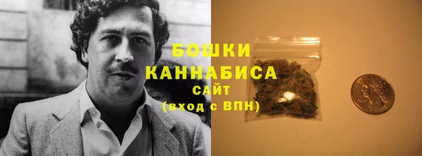 ПСИЛОЦИБИНОВЫЕ ГРИБЫ Новозыбков