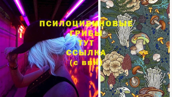 первитин Новокубанск