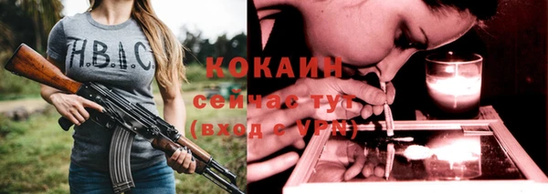 ПСИЛОЦИБИНОВЫЕ ГРИБЫ Новозыбков
