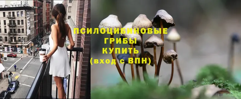 Псилоцибиновые грибы Magic Shrooms  Сергач 