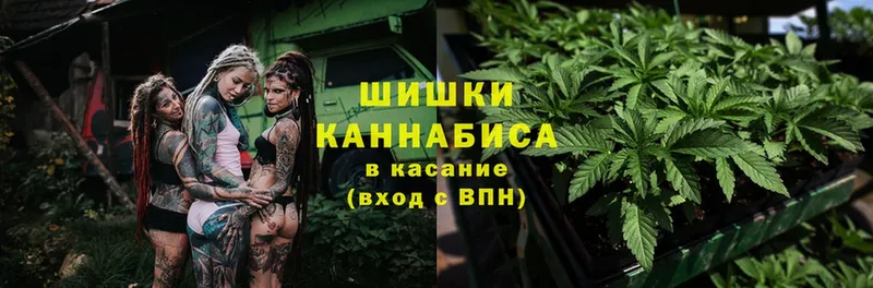 Шишки марихуана LSD WEED  закладка  Сергач 